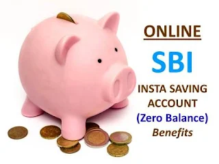 Online SBI Insta Savings Account Features & Limitations