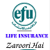 File:efu insurance Company.svg