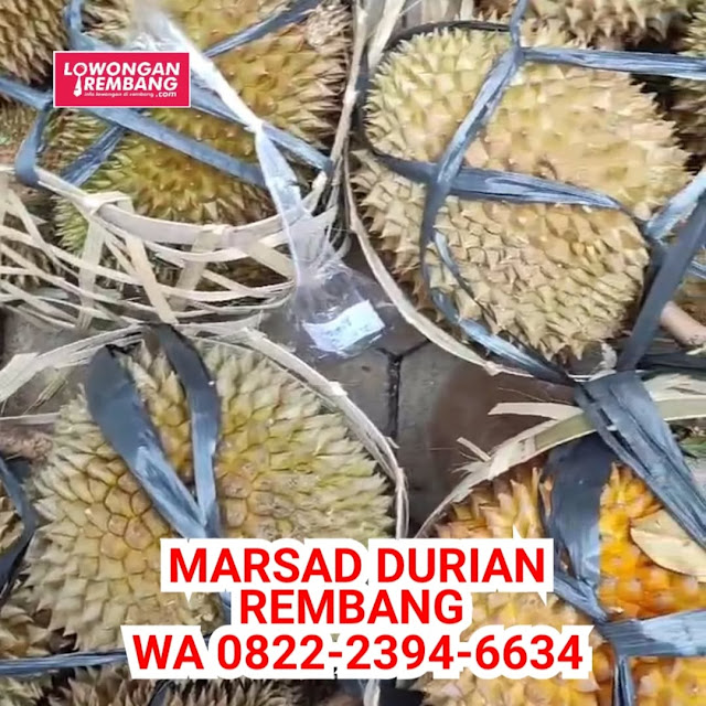 Cari Durian Enak Harga Terjangkau  Beli Aja Di Marsad Durian Rembang 082223946634