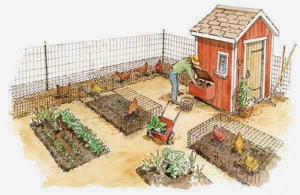 The Olde Barn: Backyard Farming