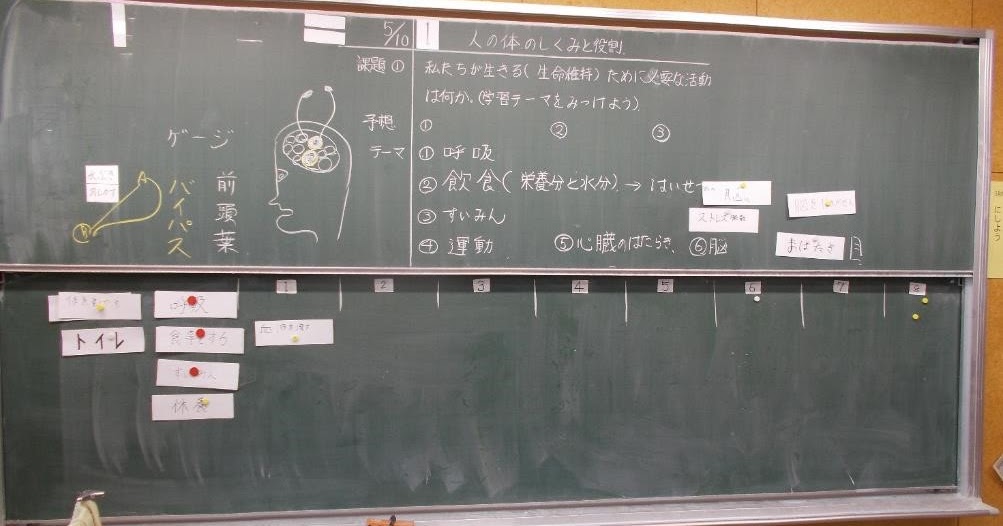 板書ノート 体のつくりとはたらき