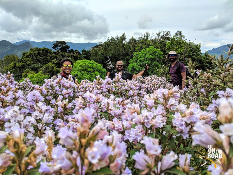 The boys have finally chased the Neelakurinji and this is at a place of a mass bloom