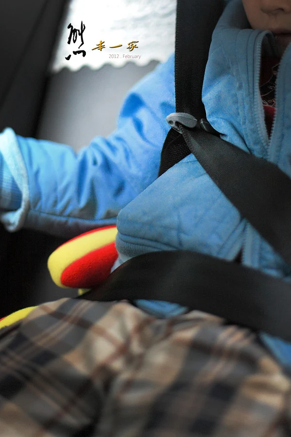 兒童汽車增高坐墊｜非兒童汽車安全座椅