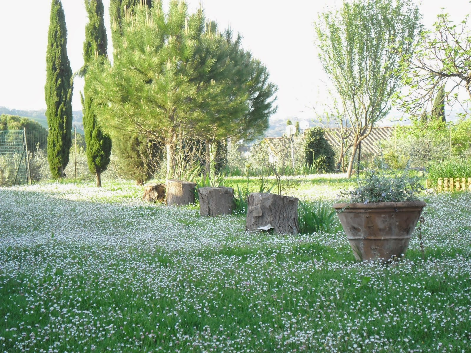 IL GIARDINO IN PRIMAVERA