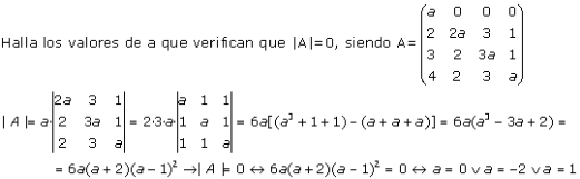 determinante 11