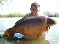 z fish bluebell