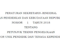 Peraturan Sekjen (Persekjen) Kemendikbud Nomor 1 Tahun 2018 Tentang Juknis Pengelolaan NUPTK (Penerbitan, Penonaktifan, dan Reaktivasi)