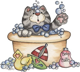 Cat03