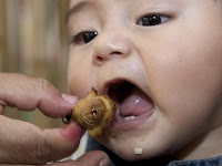 Bebê se prepara para comer chontacuro no Equador 