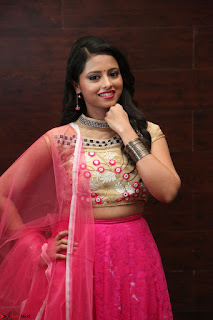 Geethanjali sizzles in Pink at Mixture Potlam Movie Audio Launch 022.JPG