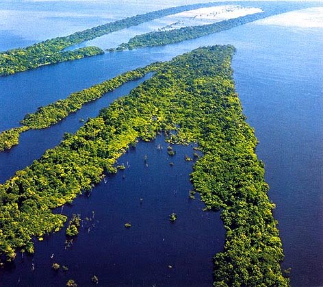 Saúde Ambiental