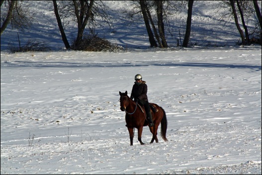 ride windy 022a