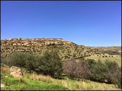 Lionsrock