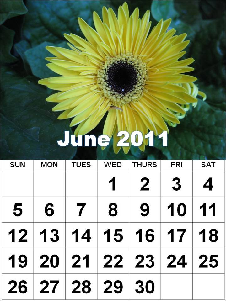 june calendar for 2011. 2011 Calendar Vector