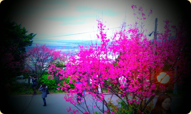 IMAG0136