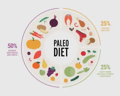 The Ultimate Guide to the Paleo Diet: A Journey to Healthy Eating