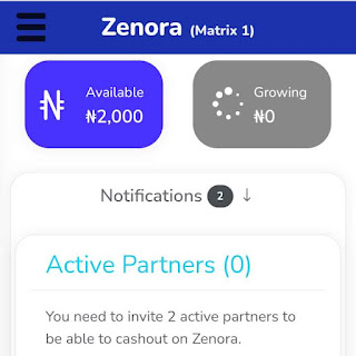 How to Join Zenora 2.0 Investment, Latest Nigerian investment platform - make 128,000 in a week