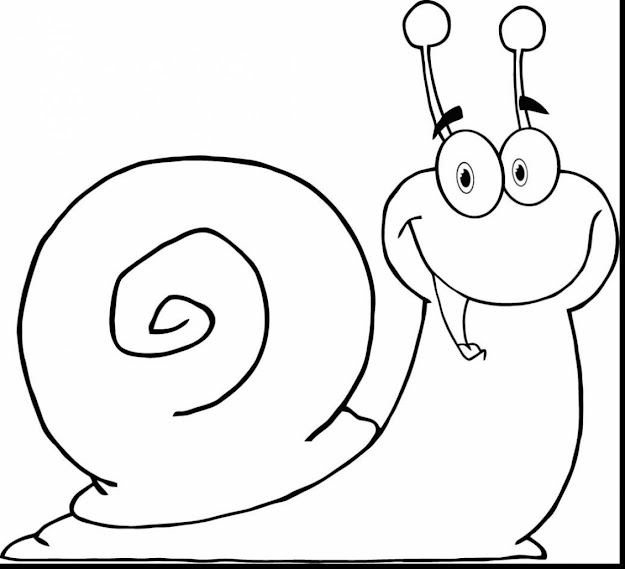 Incredible Animal Cartoon Snail Drawings With Starfish Coloring Page And  Starfish Coloring Book Page