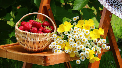 mix-fruits-flowers-images