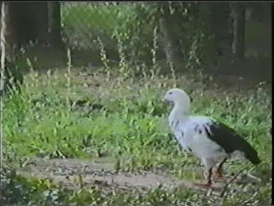 1999.06.21-04-004