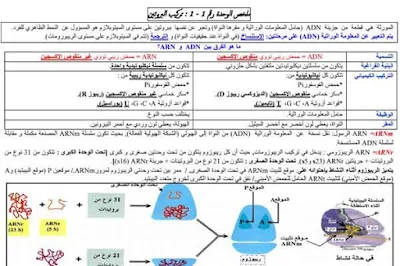 تركيب-و-بنية-البروتين-و-النشاط-الأنزيمي--الثانية-بكالوريا-علوم-الحياة-و-الأرض