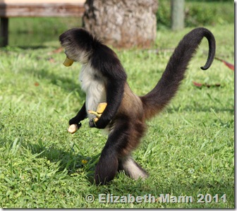 running with food