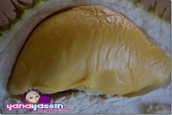 Durian Musang King306_DSC_3072Karak
