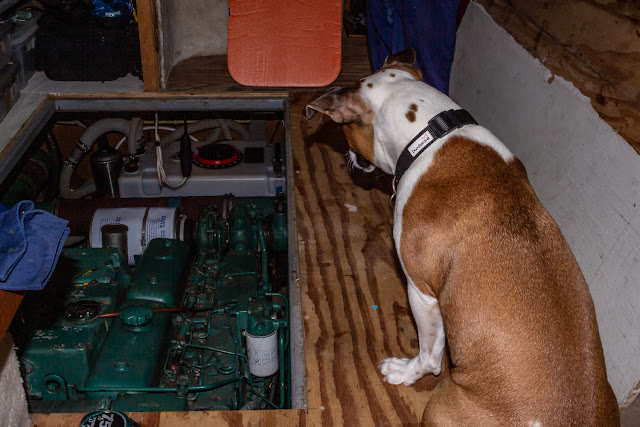 Photo of Ruby checking out the engine room from the saloon