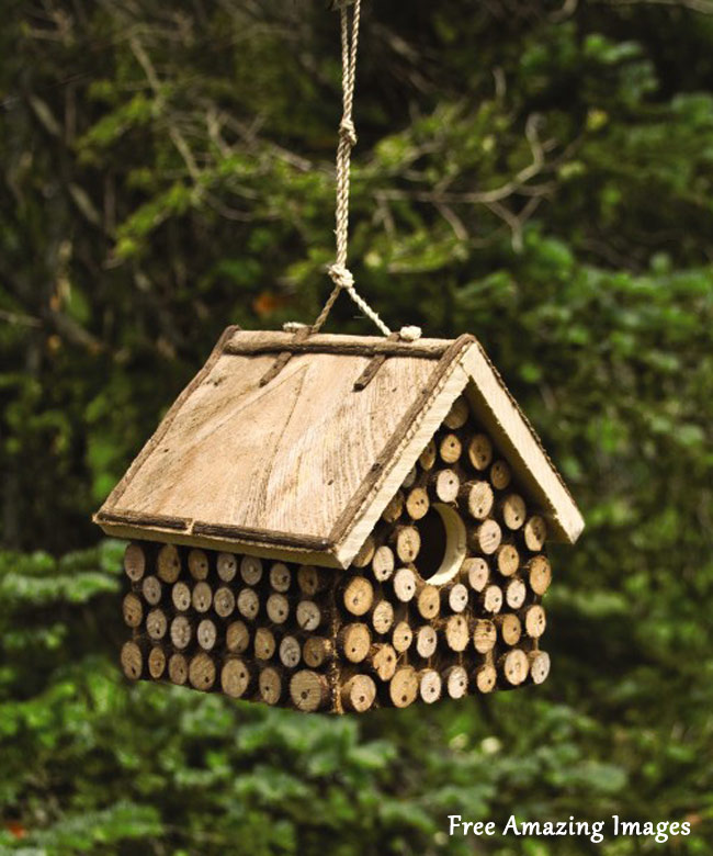 Free Amazing Images 26 Best And Most Creative Bird House 