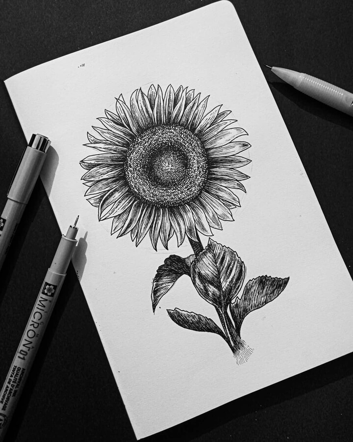 06-A-beautiful-sunflower-Ink-Drawings-Arya-Ramanda-www-designstack-co