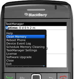 BLACKBERRY CLEANING MEMORY