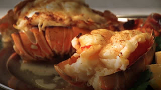 Healthy Maine Lobster Lasagna | Healthy Sea Foods Lobster Recipe Tips