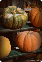 Vintage Pumpkins