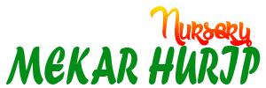 Belajar Berkebun