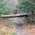 De la roche des Corbeaux au Haut de Rittempierre