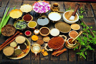 ayurvedic medicine for kidney disease