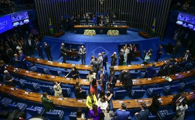 Deputados retomam trechos rejeitados por senadores e aprovam MP da Mata Atlântica
