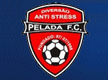 Peladas - Futebol, Cerveja e Mulheres