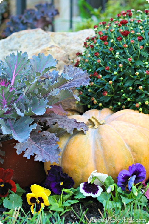 pumpkins and mums outside