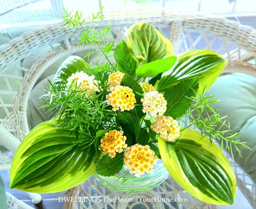 Lantana & Hosta