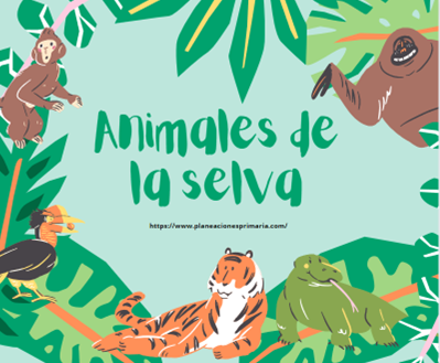 Animales de la selva ~ PLANEACIONES GRATIS