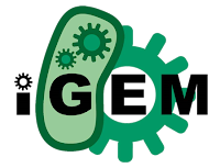 IGEM