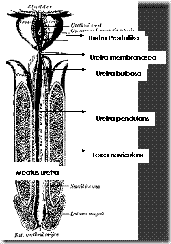 clip_image002