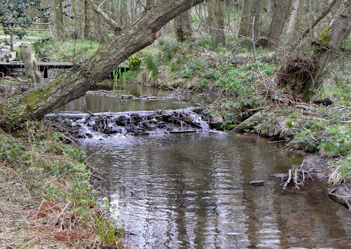 Small water fall in the woodland on Trentham estate