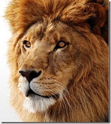 mac-os-x-lion-1298557423
