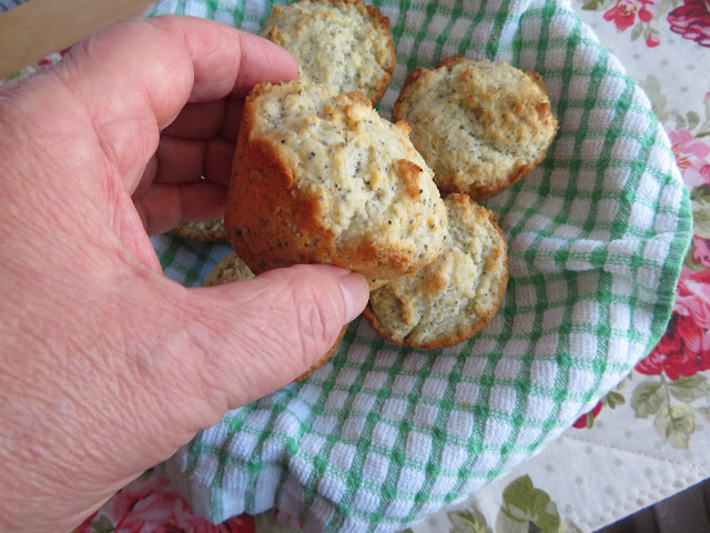 Lemon & Poppyseed Sour Cream Muffins (small batch)