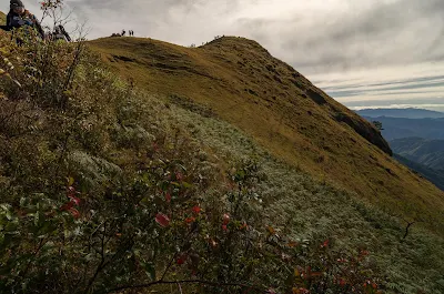 Ampucao Trails  Landscape Itogon Benguet Cordillera Administrative Region Philippines