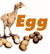 PETA egg costs animal rights welfare