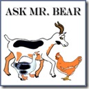 Ask Mr Bear copy