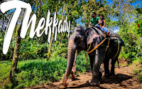 Elephant Junction Thekkady